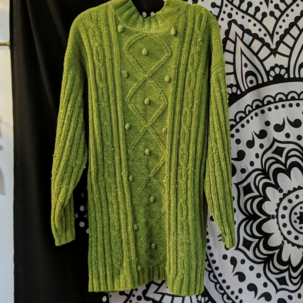 Passi classic lg green chenille sweater